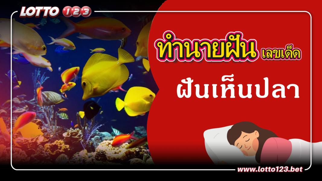 ฝันเห็นปลา ทำนายฝันเหตุการณ์ความฝันแบบนี้มีความหมายว่าอย่างไร พร้อมเลขมงคลนำโชค